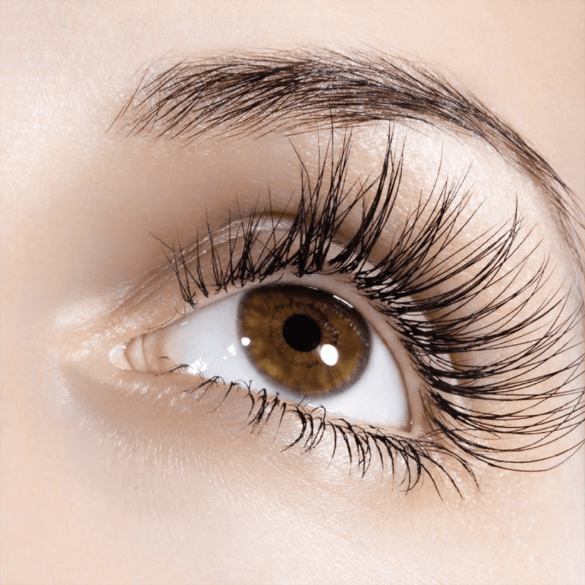 7 Tips For Eyelash Growth – MoxieLash