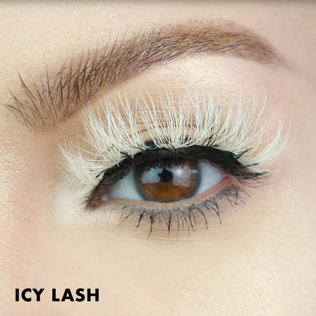 Icy Lash