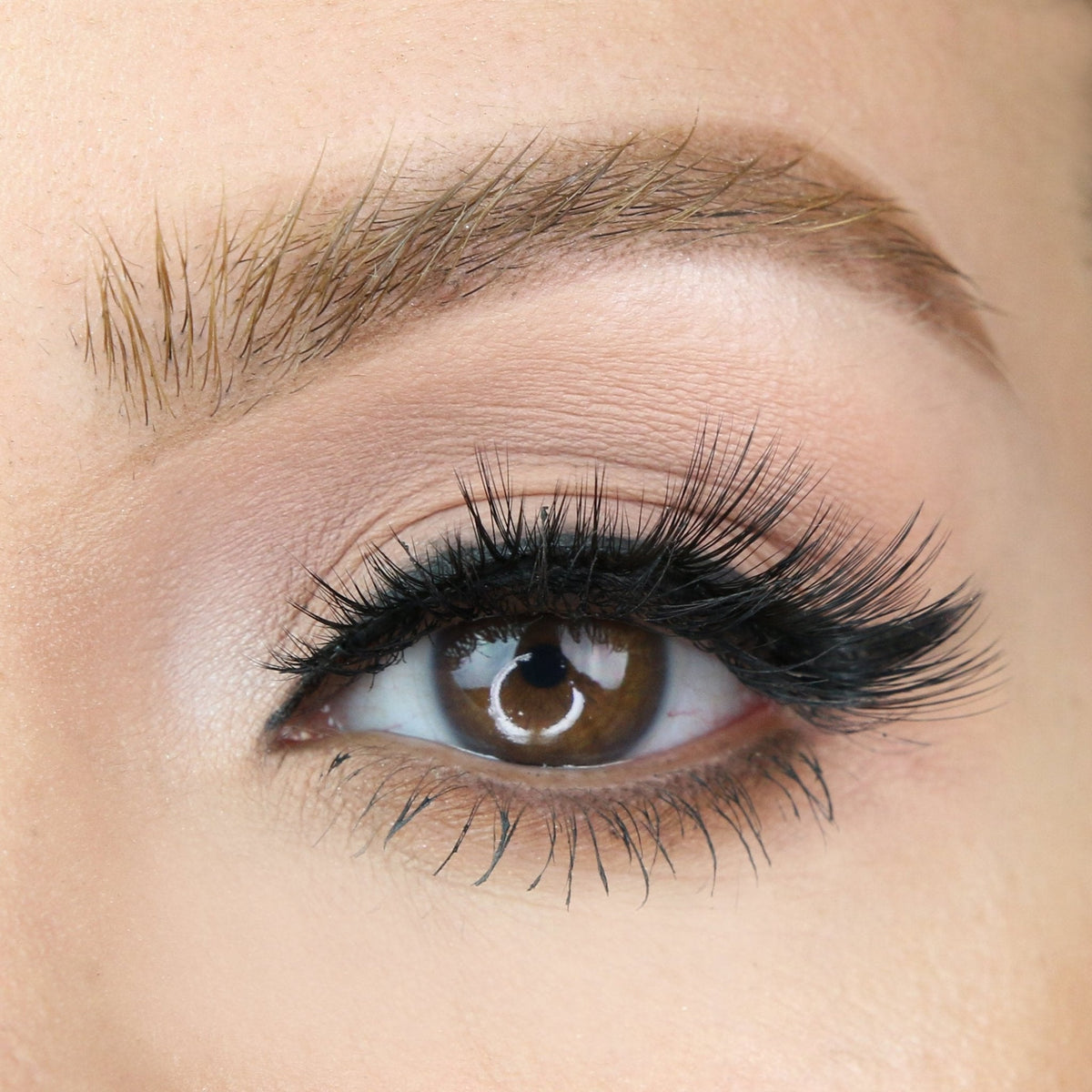 Wifey Lash